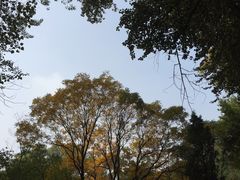 景点-晋祠公园