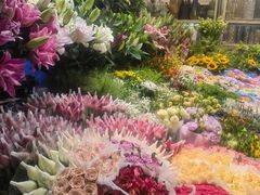 -朝来春花卉市场