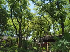 -天一阁博物院