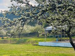 -名花谷生态庄园