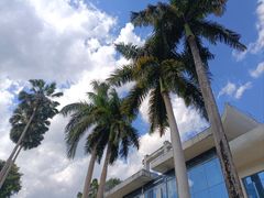 -中国科学院西双版纳热带植物园