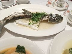 -稻香酒家·35年老字号(侨光店)