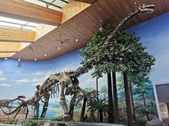 -延庆地质公园博物馆