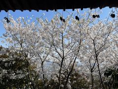 -杭州半山国家森林公园