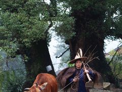 -杨家堂村