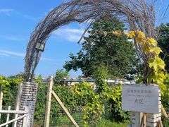 -安德鲁户外烧烤帐篷营地(马泉营店)