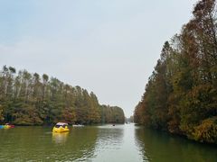 -上海海湾国家森林公园