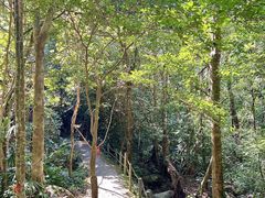 -七仙岭温泉国家森林公园