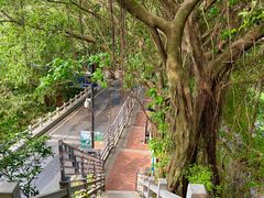 -广州市白云山风景名胜区