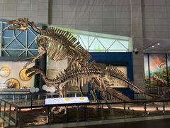 -湖南省地质博物馆