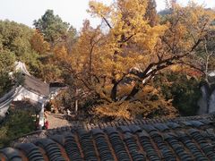 -无锡惠山寺