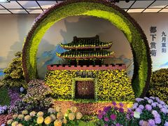 -杭州植物园