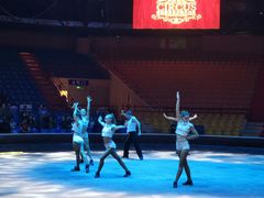 -俄罗斯国家大马戏团