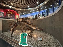 -国家自然博物馆