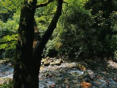 -西岭雪山大飞水景区