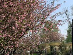 -云漫湖生态度假公园