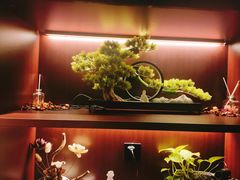 -聆耳·采耳·按摩·SPA(会展中心店)