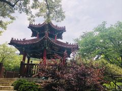 -大连植物园
