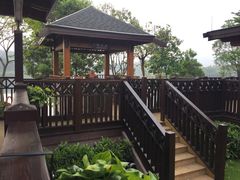 -美的鹭湖森林度假区