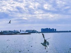 -滇池海埂公园
