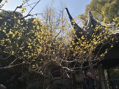 -惠山古镇·寄畅园