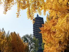-玲珑塔公园