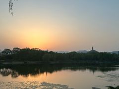 -北坞公园