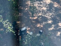 -福建鲤鱼洲酒店