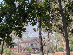 -东湖落雁景区