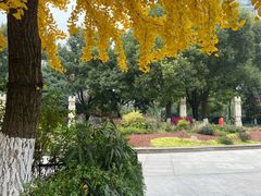 -浙江大学(玉泉校区)