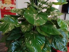 -海富门·带鱼·淮扬菜·粤菜(甘家口店)