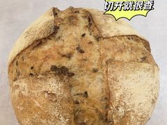 -面包日报