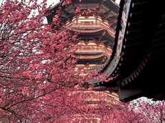 -洋湖国家湿地公园