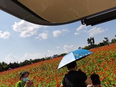 -长春世界雕塑园冰雪艺术天地