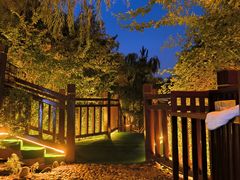 -徂徕山森林康养度假谷温泉