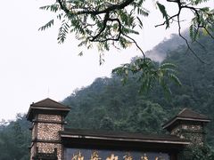 -姑婆山旅游区