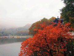 -秦岭终南山世界地质公园翠华山景区