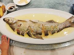 蒸白鱼-马仕玖煲·融合菜·酥不腻烤鸭(人大店)