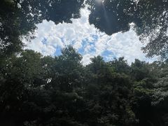 -福清灵石山国家森林公园