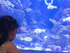 -成都浩海立方海洋公园