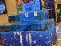 -同喜烤鸭店(光芒店)
