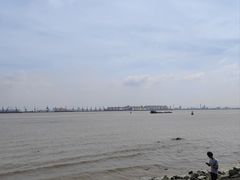 -海鸥岛