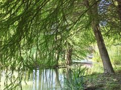 -梁鸿国家湿地公园