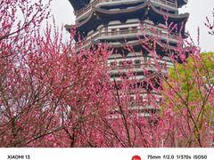 -洋湖国家湿地公园