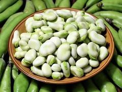 -巴蜀风·地道川菜(总店)