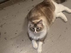 -白兔子密室(长寿路店)