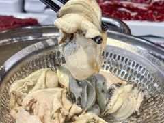 -养牛邓·潮汕牛肉海鲜自助火锅(广州店)