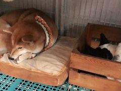 -小时光咖啡馆(北锣鼓巷店)