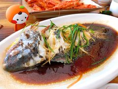 清蒸青衣鱼-八方海味餐厅