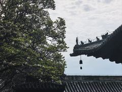 -报恩寺(平武县)